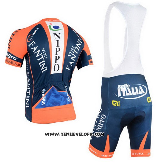 2015 Maillot Ciclismo Vini Fantini Orange et Bleu Manches Courtes et Cuissard